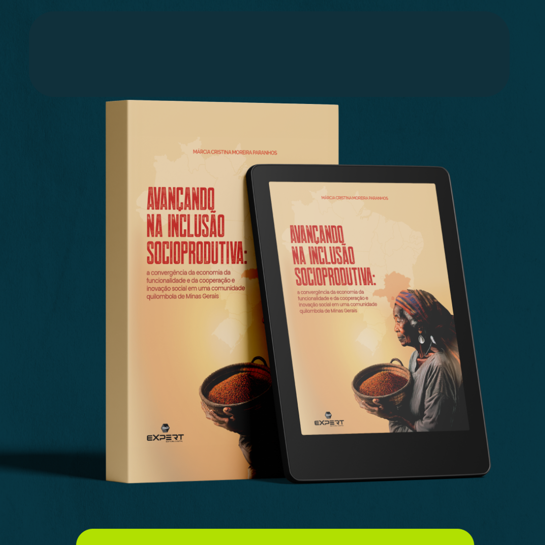 Livro: Avançando na Inclusão Socioprodutiva: